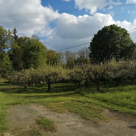 Apartament Vlcovice *